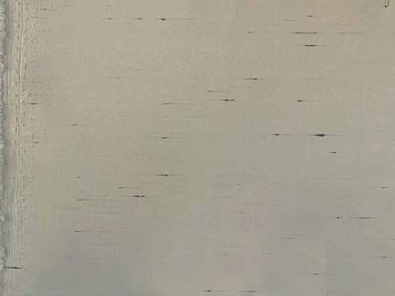 EP360 四面弹抗UV/透气混合短裤面料